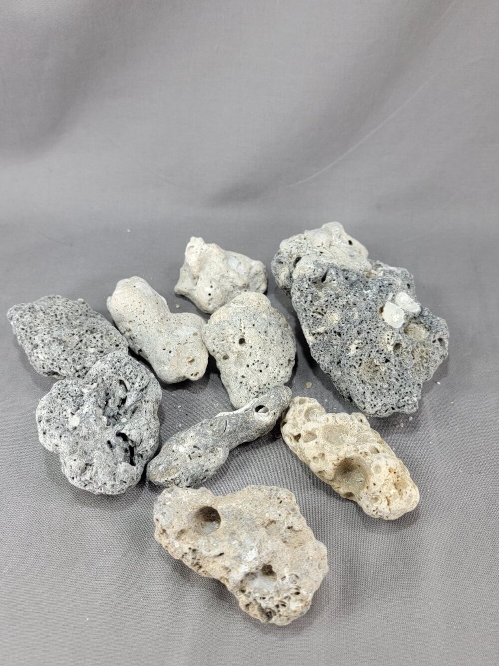 Natural Florida Beach Stone Rock Lot of 9 Nautical Ocean Decor Crafts